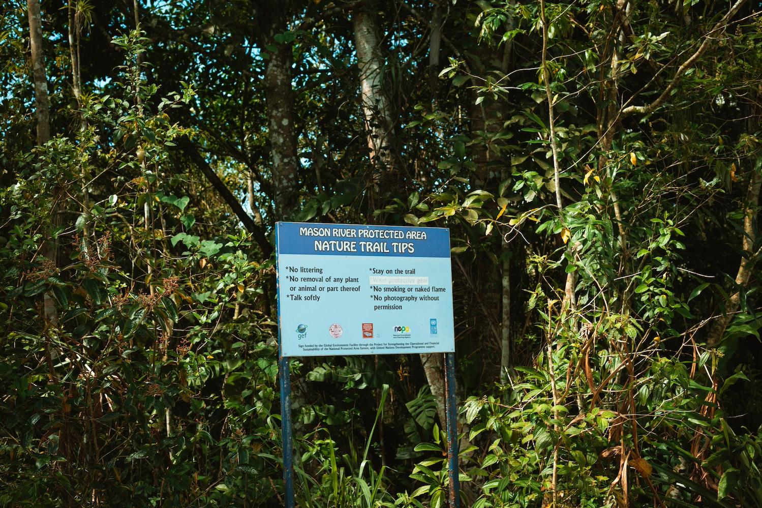 A sign reads "Mason River Protected Area: Nature trail tips." — wetlands